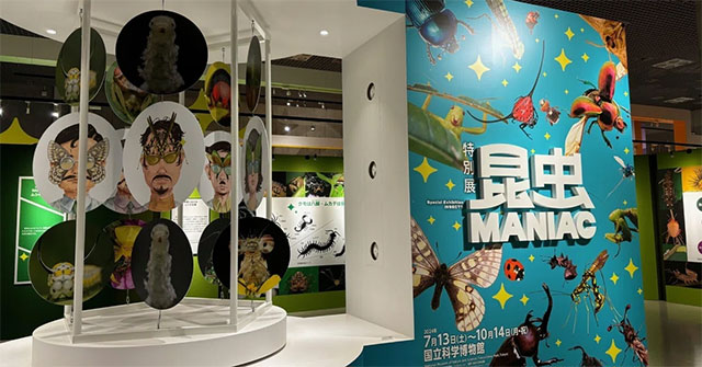 【展覧会レポート】広がる、ムシの多様な世界！特別展「昆虫 MANIAC」