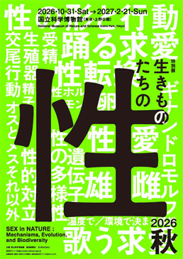 テート美術館　ターナー展 ――崇高の絵画、現代美術との対話